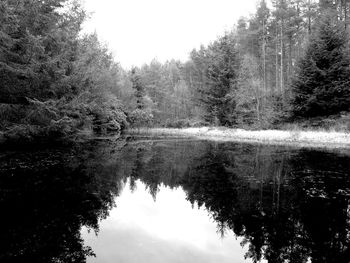 Reflection of trees in lake against sky