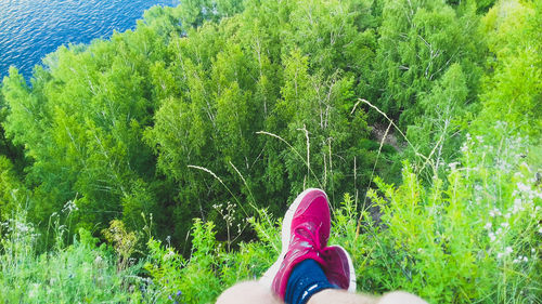 Low section of woman wearing shoes on grass