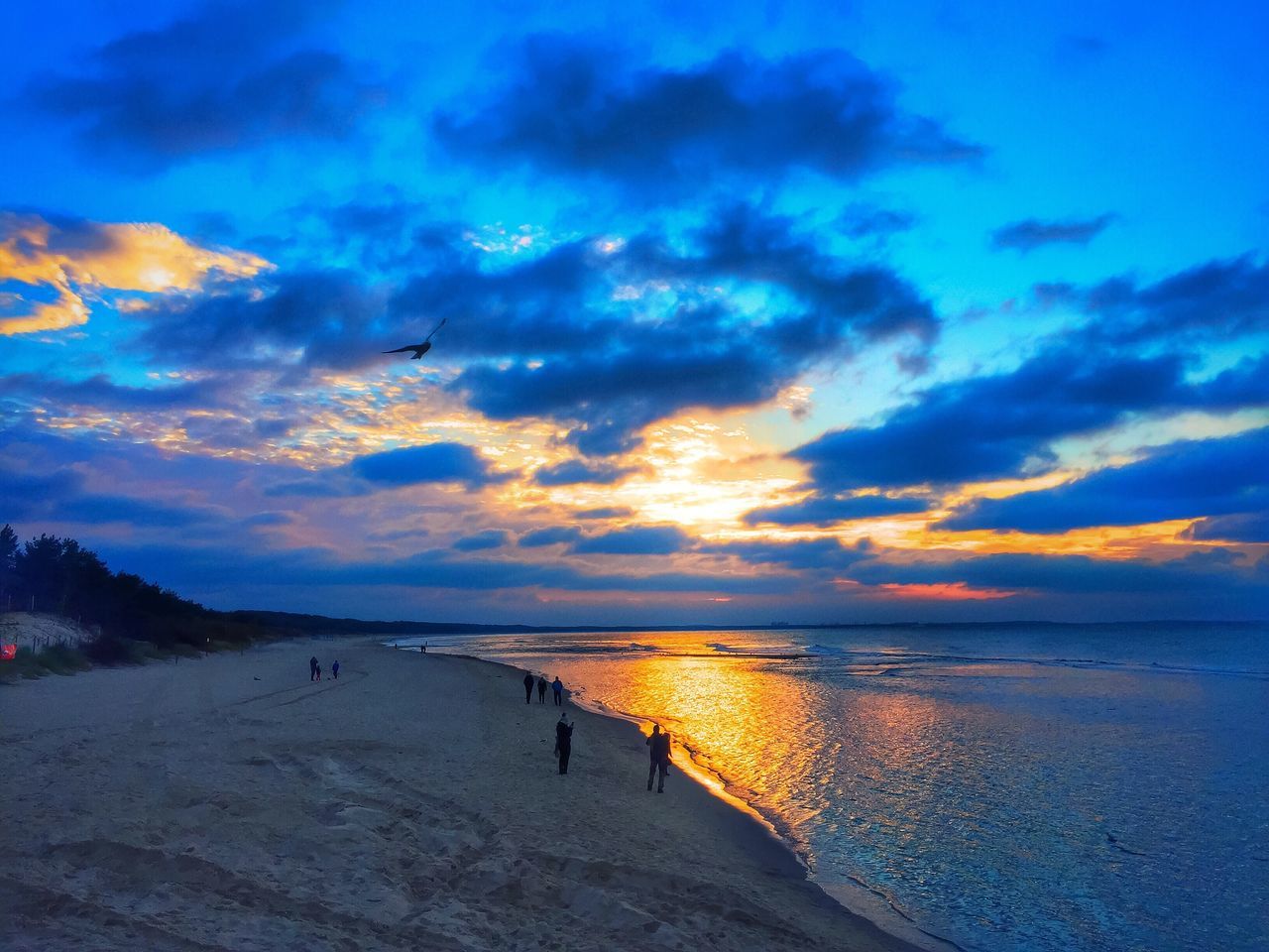 sunset, water, sea, tranquil scene, scenics, tranquility, calm, blue, idyllic, beach, horizon over water, beauty in nature, cloud, ocean, nature, sky, orange color, majestic, sun, coastline, cloud - sky, waterfront, shore, dramatic sky, moody sky, non-urban scene, flying, remote, outline, no people