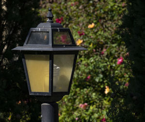 Close-up of street light against trees