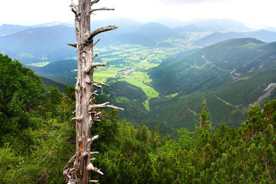 Scenic view of mountains