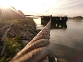 Close-up of human hand against the sky