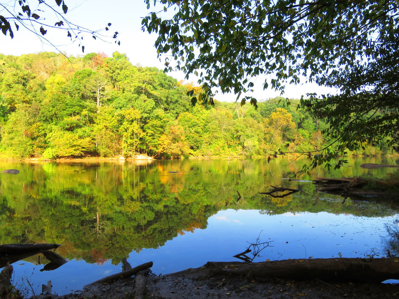 REFLECTION OF TREES IN LAKE AGAINST SKY