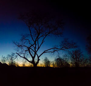 Silhouette bare trees on field against sky at sunset