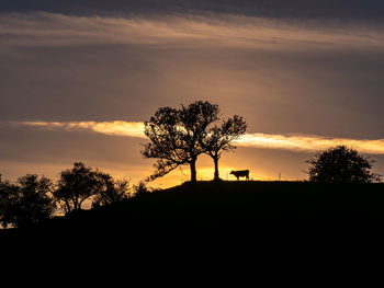 Silhouette trees on landscape against sky during sunset