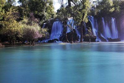 Panoramic view of swimming pool against trees