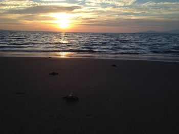 Scenic view of sea during sunset