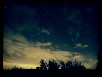 Low angle view of silhouette trees against sky at night