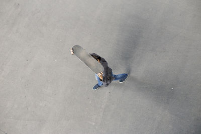 High angle view of man with skateboard walking on road