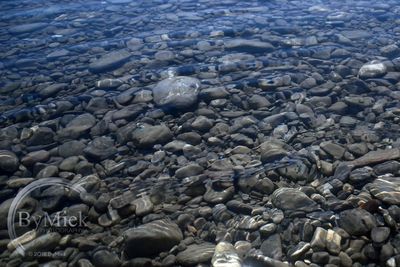 High angle view of stones on beach