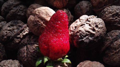 Close-up of strawberries