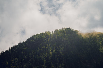 nature