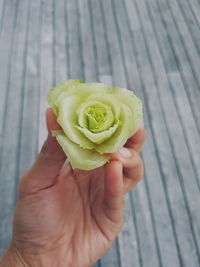 Close-up of person holding apple