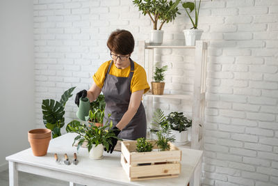 Rear view of woman holding potted plant