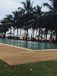 View of palm trees on beach