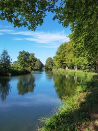 Scenic view of lake by trees against sky