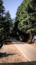 Road amidst trees in city against sky