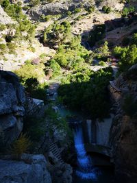 High angle view of rocks amidst trees