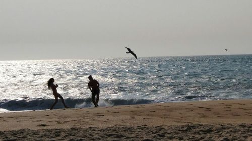 Silhouette boys flying over beach against clear sky