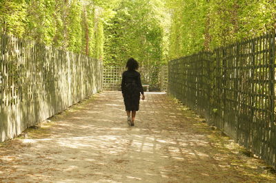 Rear view of woman walking on footpath in park