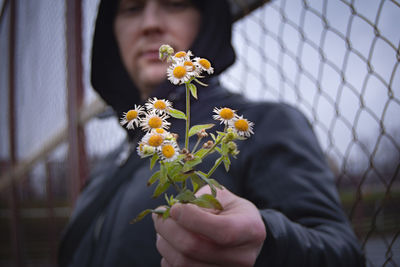 Close-up of hand holding flowering plant