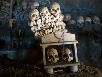 Close-up of human skull