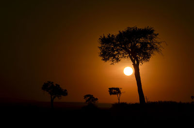 Silhouette tree on field against sky during sunset