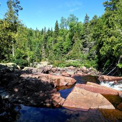 Scenic view of rocks in forest against sky