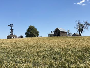 Houses on field against sky