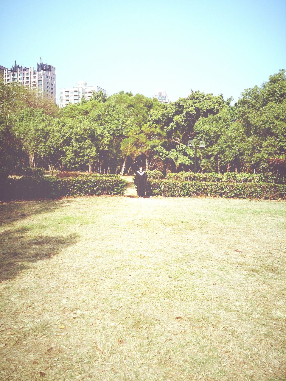 tree, clear sky, water, tranquility, tranquil scene, growth, built structure, nature, sunlight, scenics, park - man made space, architecture, building exterior, beauty in nature, day, outdoors, copy space, green color, no people, incidental people