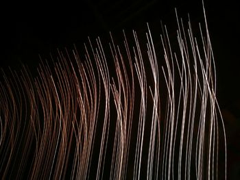 Close-up of firework display at night