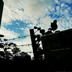 Low angle view of silhouette bird perching on pole against sky