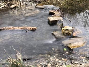 Close-up of rocks in water