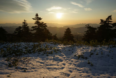 Scenic view of snow field against sky during sunset