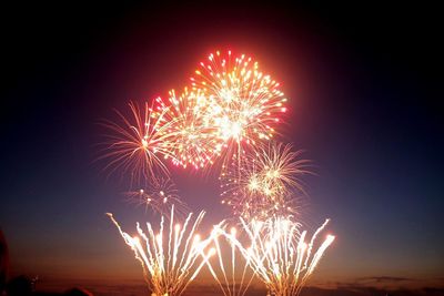 Low angle view of firework display against sky at night