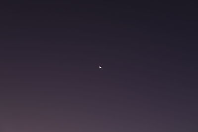 Low angle view of moon against sky at night