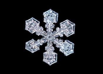 Close-up of snowflakes on glass against black background