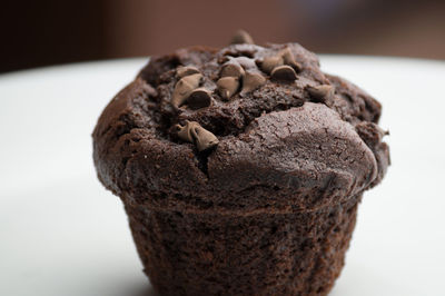 Close-up of chocolate chip muffin on plate