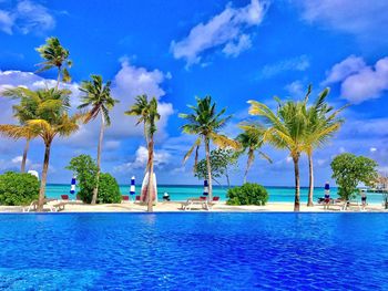 Palm trees on swimming pool