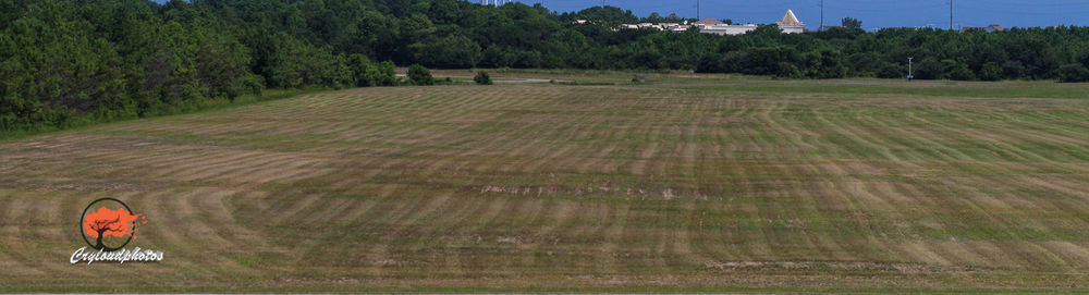 Scenic view of rural landscape