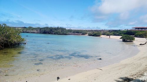 Scenic view of beach against sky