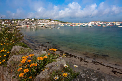 Scenic view of sea against sky