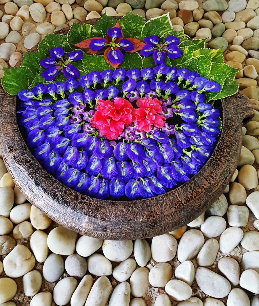 HIGH ANGLE VIEW OF BLUE FLOWER ON STONE