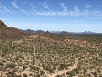 Scenic view of landscape against sky