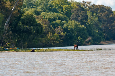 People in sea