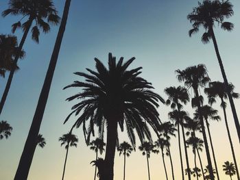 Low angle view of silhouette palm trees against sky during sunset