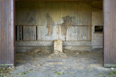 Old weathered door of abandoned building