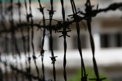 Close-up of barbed wire against sky