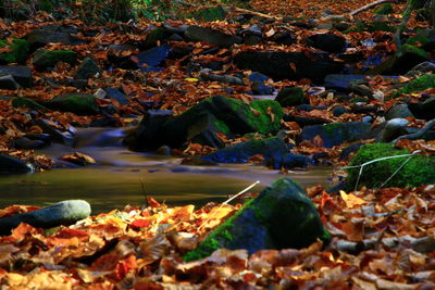 High angle view of rocks by sea during autumn