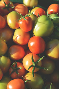 Full frame shot of tomatoes